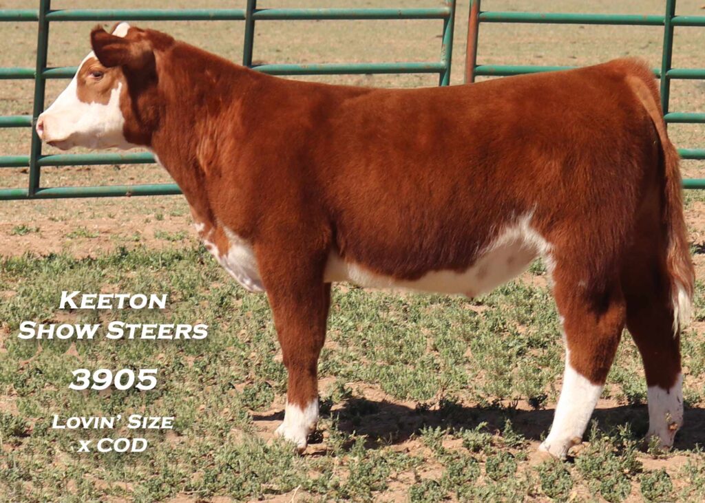 3905 - Lovin' Size x COD